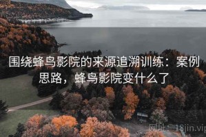 围绕蜂鸟影院的来源追溯训练：案例思路，蜂鸟影院变什么了