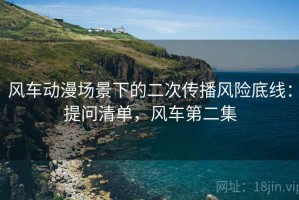 风车动漫场景下的二次传播风险底线：提问清单，风车第二集