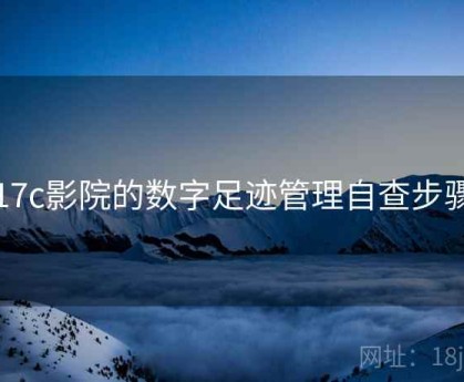 17c影院的数字足迹管理自查步骤