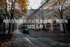 电鸽在线相关讨论现象梳理，赛鸽电动怎么样