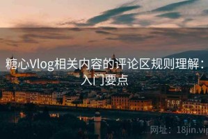 糖心Vlog相关内容的评论区规则理解：入门要点