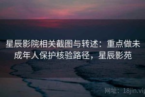 星辰影院相关截图与转述：重点做未成年人保护核验路径，星辰影苑