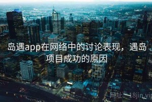 岛遇app在网络中的讨论表现，遇岛项目成功的原因
