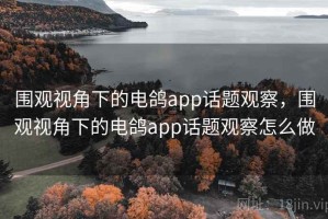 围观视角下的电鸽app话题观察，围观视角下的电鸽app话题观察怎么做