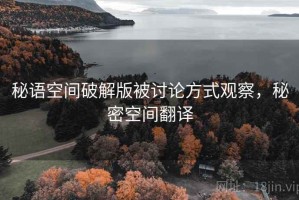 秘语空间破解版被讨论方式观察，秘密空间翻译