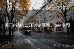 关于P站的公开讨论观察，p站专题