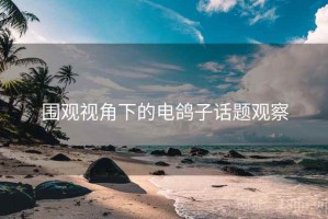 围观视角下的电鸽子话题观察