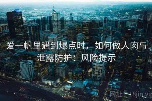 爱一帆里遇到爆点时，如何做人肉与泄露防护：风险提示