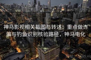 神马影视相关截图与转述：重点做诈骗与钓鱼识别核验路径，神马电化