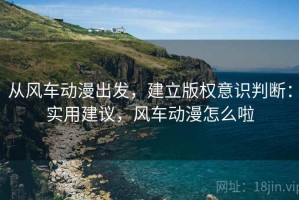 从风车动漫出发，建立版权意识判断：实用建议，风车动漫怎么啦