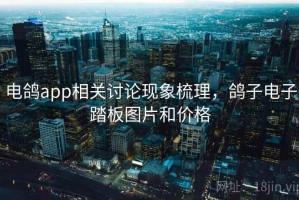 电鸽app相关讨论现象梳理，鸽子电子踏板图片和价格