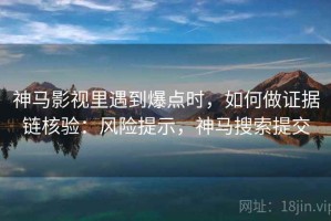 神马影视里遇到爆点时，如何做证据链核验：风险提示，神马搜索提交