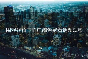 围观视角下的电鸽免费看话题观察