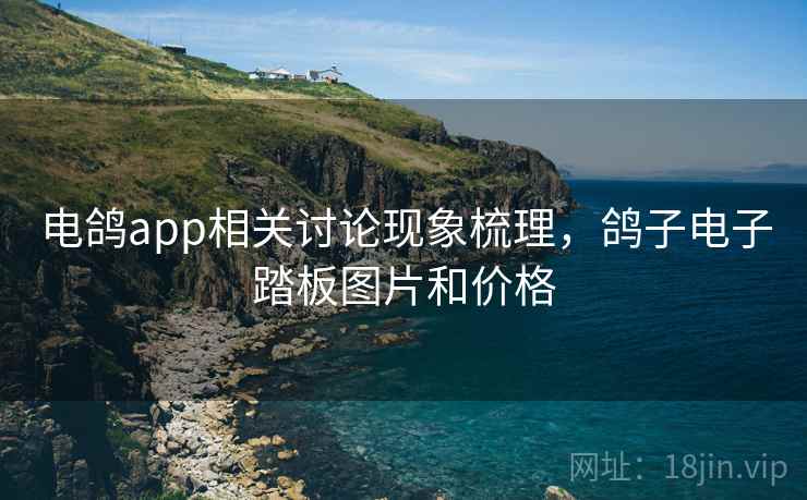 电鸽app相关讨论现象梳理，鸽子电子踏板图片和价格