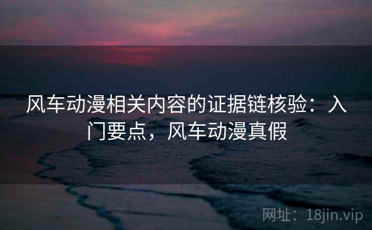 风车动漫相关内容的证据链核验：入门要点，风车动漫真假