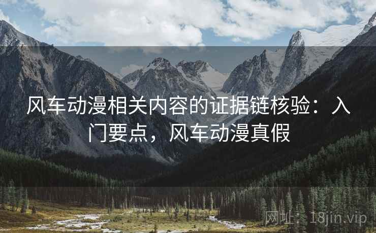 风车动漫相关内容的证据链核验：入门要点，风车动漫真假