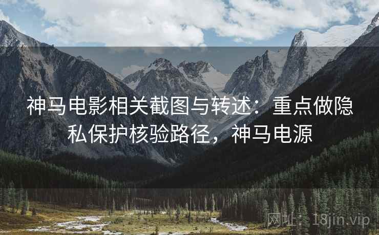 神马电影相关截图与转述：重点做隐私保护核验路径，神马电源