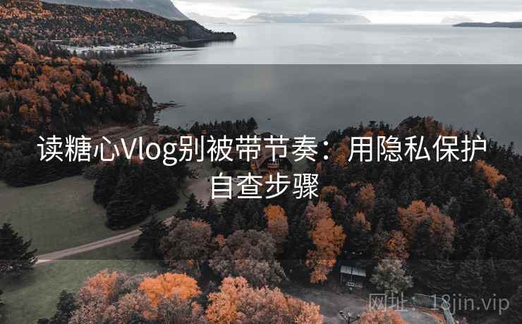 读糖心Vlog别被带节奏：用隐私保护自查步骤