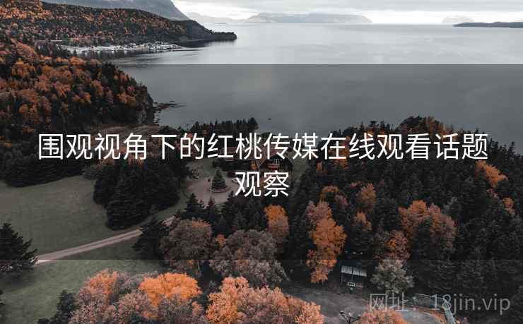 围观视角下的红桃传媒在线观看话题观察