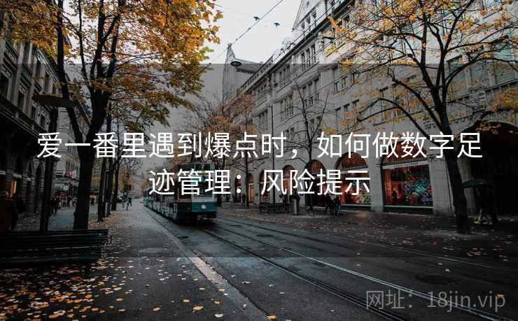 爱一番里遇到爆点时,如何做数字足迹管理:风险提示 爱一番里遇到爆点时,如何做数字足迹管理:风险提示